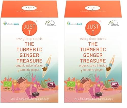 JUST T The Turmeric Ginger Treasure Pyramiden Teebeutel (20 pcs) | Bio Gewürztee – Angereichert mit Kurkuma Ingwer | Biologisch abbaubare Bio Teebeutel – Hochland Blatt Tee für alle Teeliebhaber von JUST T