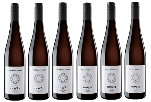 6x 0,75l - 2022er - Juliane Eller - JUWEL - Spätburgunder - Qualitätswein Rheinhessen - Deutschland - Rotwein trocken von JUWEL-Weine