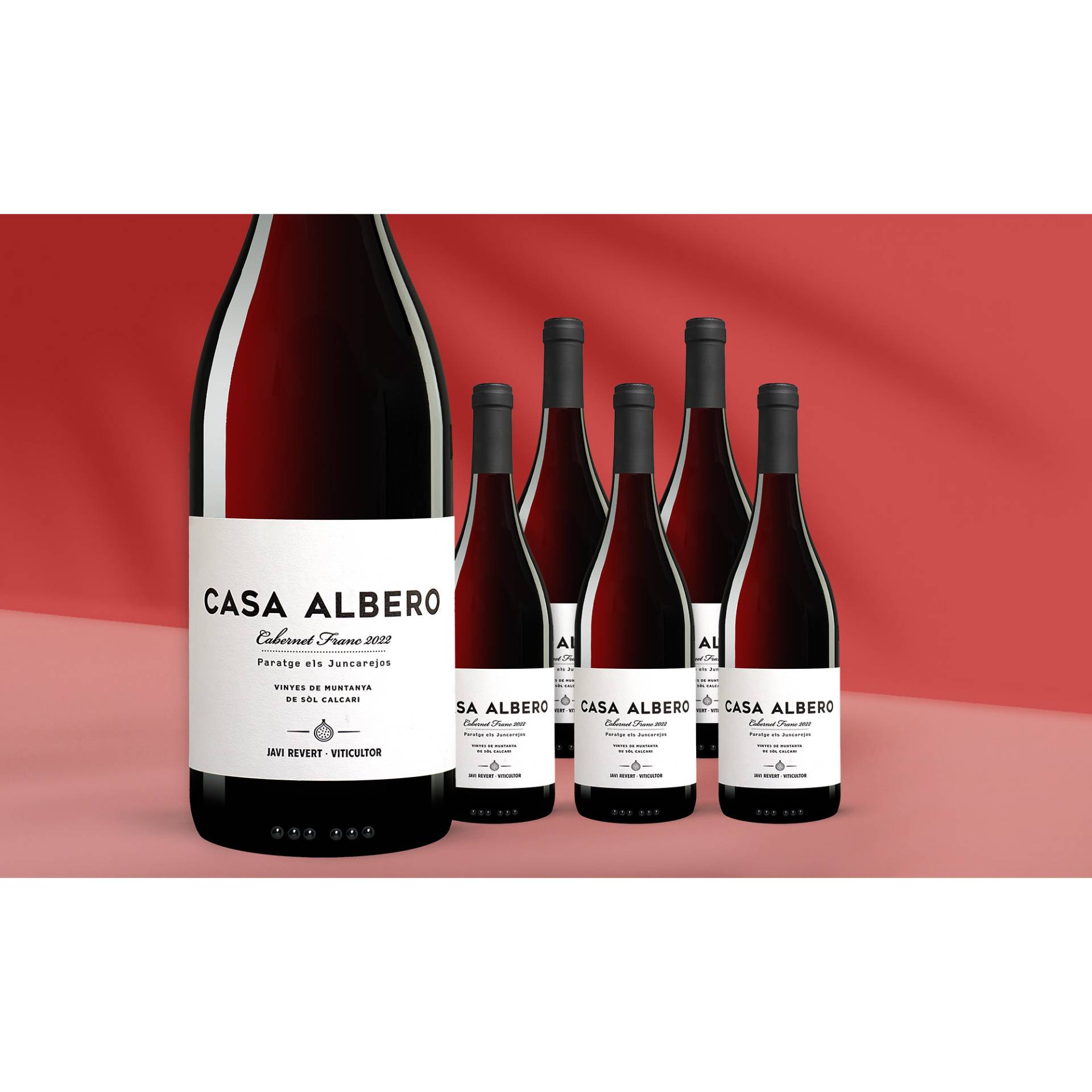 Javier Revert Casa Albero Cabernet Franc 2022  4.5L 14% Vol. Weinpaket aus Spanien von Javi Revert Viticultor