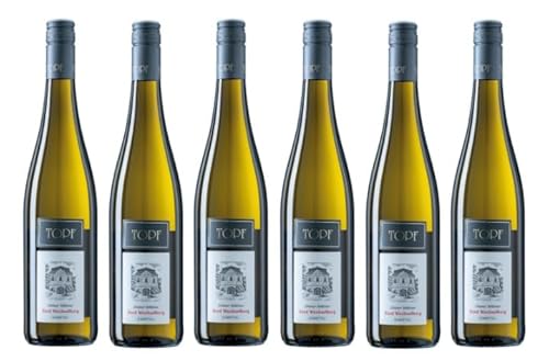 6x 0,75l - 2023er - Johann Topf - Ried Wechselberg - Grüner Veltliner - Kamptal DAC - Österreich - Weißwein trocken von Johann Topf