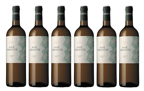 6x 0,75l - 2023er - José Pariente - Sauvignon Blanc - Rueda D.O.P. - Spanien - Weißwein trocken von José Pariente