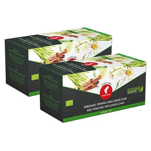 Julius Meinl Bio Fenchel-Wellness-Chai, 20 Pyramidenbeutel | 2er Pack von Julius Meinl