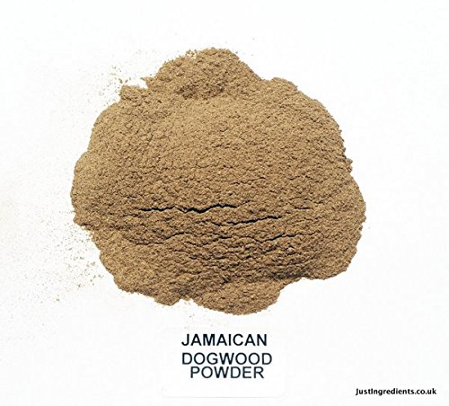 JustIngredients Jamaika-Hartriegel-Pulver, Jamaican Dogwood Powder, 1er Pack (1 x 1 kg) von JustIngredients