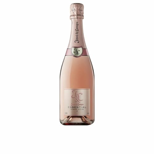 Juve&Camps Champagner Brut Rosé Pinot Noir 12% 750 ml von Juve&Camps