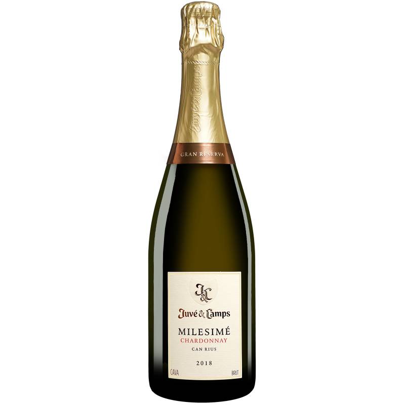 Juvé y Camps Cava Milesimé Reserva Brut 2018  0.75L 12% Vol. Trocken aus Spanien von Juvé y Camps