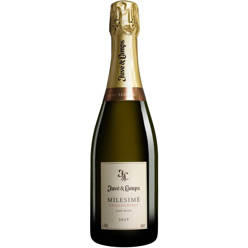 Juvé y Camps Cava Milesimé Reserva Brut 2019  0.75L 12% Vol. Trocken aus Spanien von Juvé y Camps