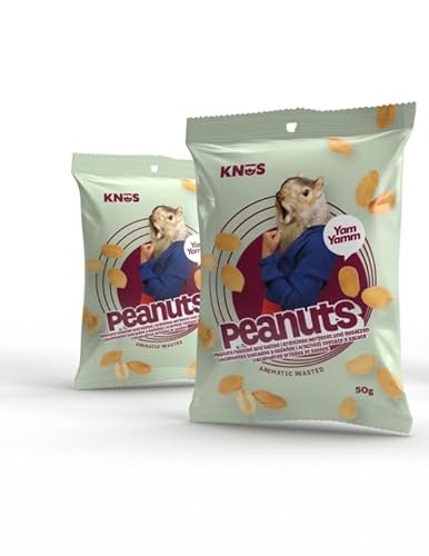 KNÜS® Erdnüsse geröstet und gesalzen 50gr | 10er Pack (10 x 50gr) | Gesunder Snack | Kleine Packungen für unterwegs von KNÜS