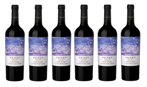 6x 0,75l - 2021er - Kaiken - Terroir Seris - Malbec - Mendoza - Argentinien - Rotwein trocken von Kaiken