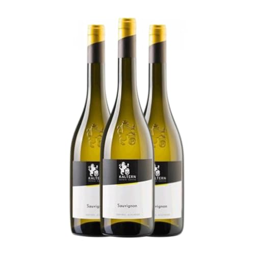 Kaltern Sauvignon Weiß Alto Adige 75 cl Weißwein (Karton mit 3 Flaschen von 75 cl) von Kaltern Kellerei