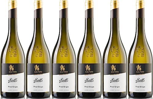 6x Pinot Grigio Soll 2023 - Kellerei Kaltern, Südtirol - Weißwein von Kellerei Kaltern