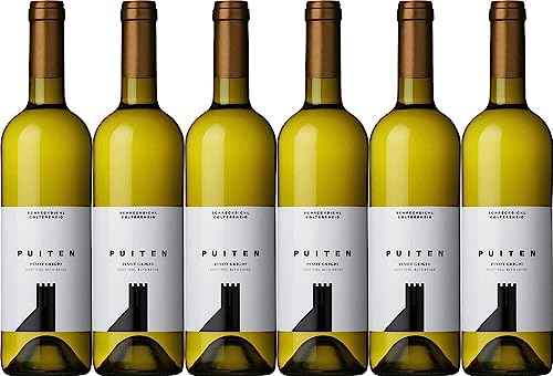 6x Pinot Grigio Puiten 2023 - Kellerei Schreckbichl - Cantina Colterenzio, Südtirol - Weißwein von Kellerei Schreckbichl - Cantina Colterenzio