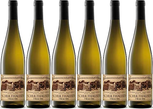 6x Weissburgunder Schulthaus 2023 - Kellerei St. Michael Eppan, Südtirol - Weißwein von Kellerei St. Michael Eppan