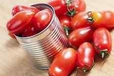 100mg ORGANIC Roma Tomato Seeds ~350ct Canning Production Tomatoes non-GMO USA: Only Seeds von Ketsicart