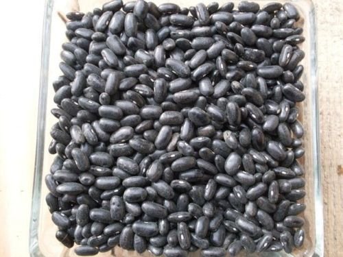 20 Cherokee Trail of Tears Black Bean Seeds ~ sapore della storia ~ OP Heirloom Seed:Seeds von Ketsicart