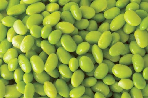 20 Edamame Green Envy Soybean Glycine Max Soy Bean Vegetable Seeds *Combined S/H von Ketsicart