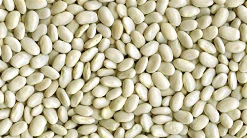 : 200: Beans Great Northern Fresh Non GMO Organic Bean 50-100 - 200 seeds von Ketsicart