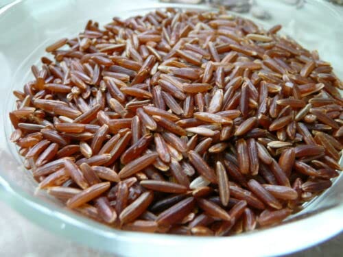 25 Graines Riz Rouge Thai Complet (Oryza Sativa) H374 Cargo Red Rice Seeds von Ketsicart