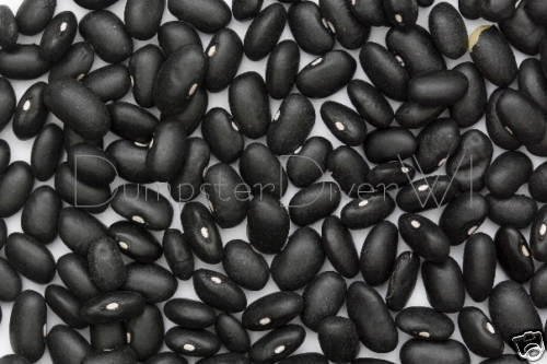 Black Turtle Beans 35+ Seeds Delicious Spanish Favorite Organic Non-GMO von Ketsicart