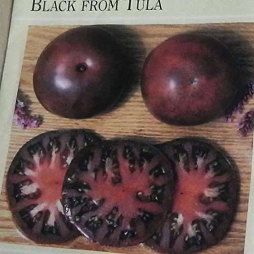 Erbstück Russian Tomato SCHWARZ von TULA❋100 Seeds❋LARGE Früchte reich rauchigen Geschmack von Ketsicart