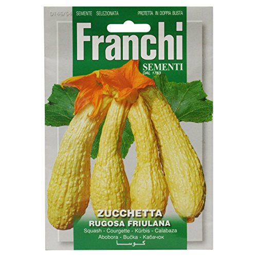 Franchi Courgette Rugosa Friulana von Ketsicart