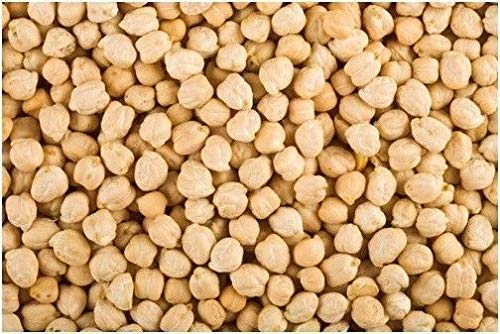 Germination Seeds: Organic Chickpeas Seeds 90 Garbanzo Bean Seed Non GMO -A2: Only seeds von Ketsicart