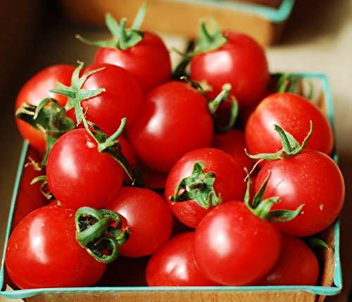 Grande Red Cherry Pomodoro (Indeterminato) Heirloom non-OGM - 0,25 g (~ 90 Seeds):Seeds von Ketsicart