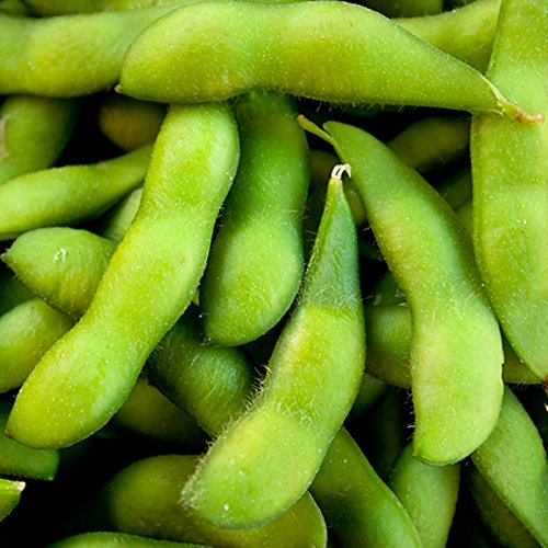 Kalash New Fresh 35 Pieces Green Soybean Vegetable Seeds von Ketsicart