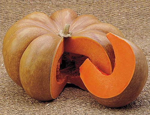 Musquee De Provence Pumpkin | Heirloom se | Preferito dai Chef | 15 Semi:Seeds von Ketsicart