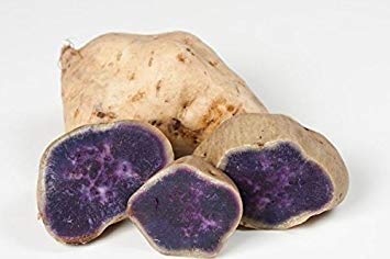 Petsdelite ® White Skin Purple Yam, Japanese Purple seedato Or Japanese Sweet seedato(1 Grams) : Only seeds von Ketsicart