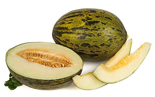 Piel de Sapo Melone piÃ ± Onet 500 Semi Freschi von Ketsicart