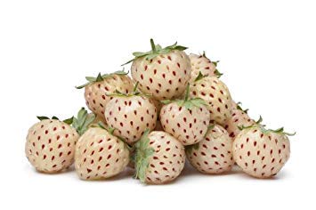 Pineberry Bianco Fragola 100 Semi ad Alt Rendimento von Ketsicart