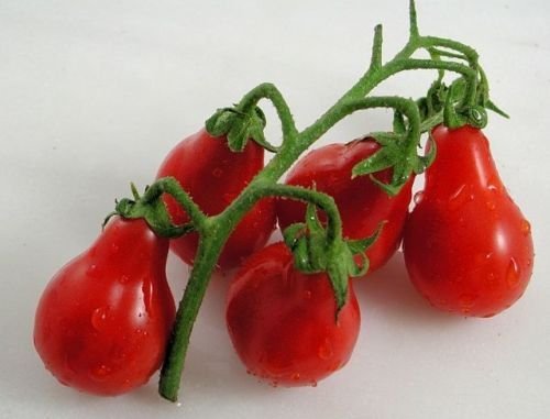 Seeds 30 red tomato pear 2018 (all non-ogm semi-cimel vegetable!) von Ketsicart