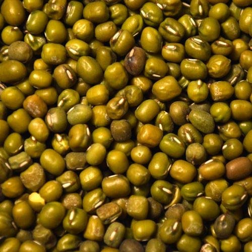 Seeds bean beans, mung, certified organic, 60 seeds! grill von Ketsicart