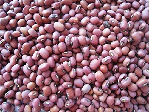 Seeds semi organic red beans Mung ~ known as Red Chori, for spouting, food or cultivation von Ketsicart