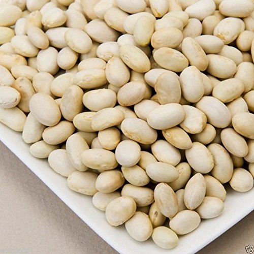 White Marrow Bean Seeds, Non-GMO, Heirloom Grown Organically 100 Seeds: Only seeds von Ketsicart