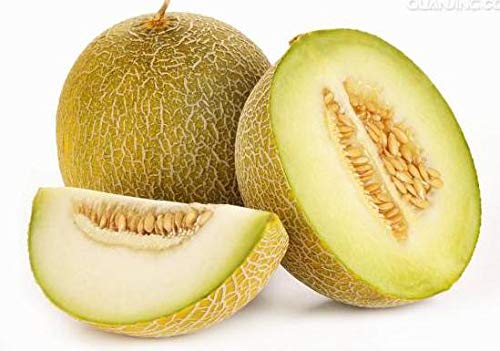 ketsicart Fresh Pack of 50 Cantaloupe Fruit Seeds for Planting White von Ketsicart