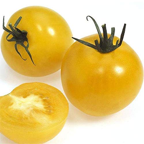 ketsicart seedted Seasons Vegetable Cherry Tomato Fruit Tomato Black Pearl 50-100pcs : 5: Only seeds von Ketsicart