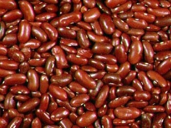 vegherb 1.2 Ounce Seeds of Vud008 Dark Red Kidney Beans von Ketsicart