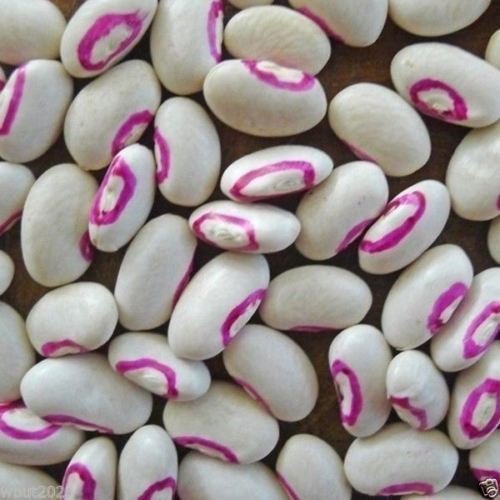 vegherb Cow Pea Pink with Eyes Purple Hulled (1000 Seeds) A.K.A Süd Peas, Organic von Ketsicart