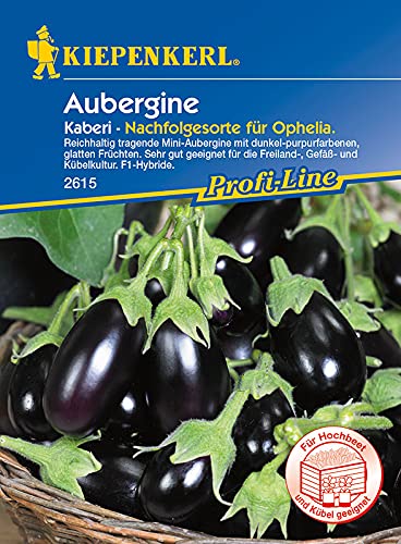 Aubergine Kaberi von Kiepenkerl