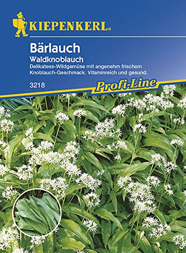 Bärlauch Waldknoblauch (Allium ursinum), Delikatess Wildgemüse mit angenehm frischem Knoblauchgeschmack von Kiepenkerl