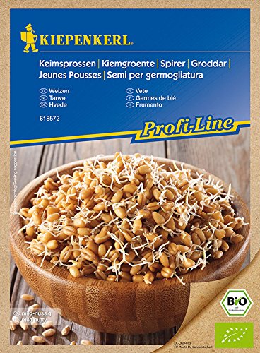 Bio Keimsprossen verschiedene Sorten Alfalfa Radies Brokkoli Weizen Rauke Linsen Zwiebel (Weizen) von Kiepenkerl