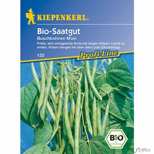 Buschbohne 'Maxi' (Bio-Saatgut) von Kiepenkerl