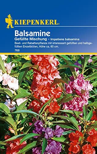Impatiens balsamina Balsamine gefüllte Mischung von Kiepenkerl