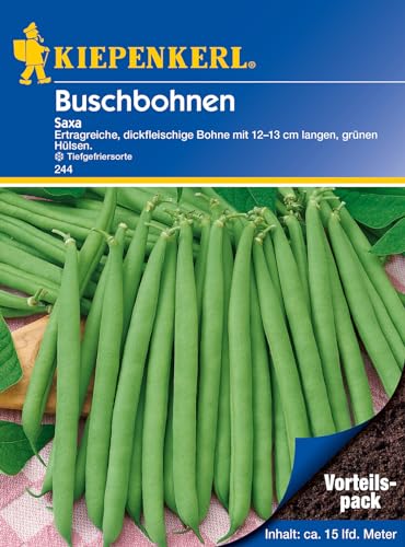 Kiepenkerl 0244 Buschbohne Saxa (Vorteilspack), Inhalt: 200 gr, frühe dickfleischige Salatbohne ohne Fäden von Kiepenkerl