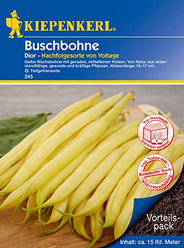 Kiepenkerl 0245 Buschbohne Dior (Vorteilspack), Inhalt: 120 gr, gelbe Wachsbohne, widerstandfähig, Hülsenlänge: 16-17 cm von Kiepenkerl