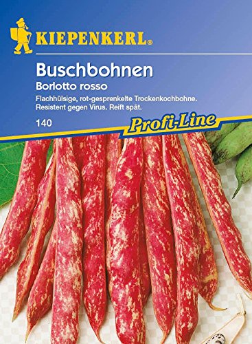Kiepenkerl 140 Buschbohnen Borlotto Rosso (Buschbohnensamen) von Kiepenkerl