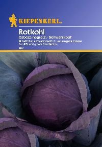 Kiepenkerl 432 Rotkohl Cabeza negra 2 (Rotkohlsamen) von Kiepenkerl