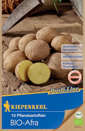 Kiepenkerl BIO Pflanzkartoffel Afra, 10 Stück 613003 von Kiepenkerl