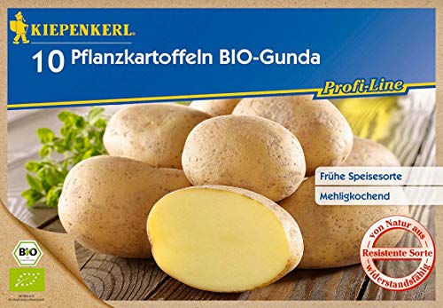 Kiepenkerl BIO - Pflanzkartoffeln Gunda (10 Stück) von Kiepenkerl